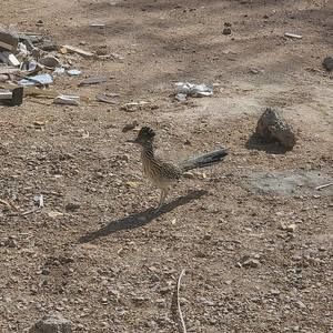 Meet your Posher, Miguel